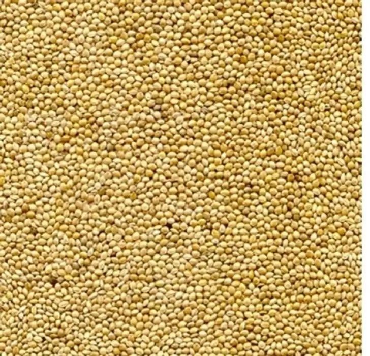 Semințe pestrițe și meii