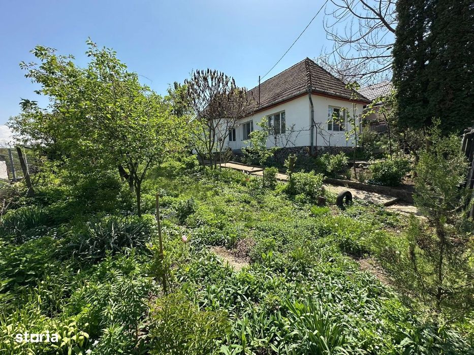 Casă DE VÂNZARE Str: Florilor Adămuș
