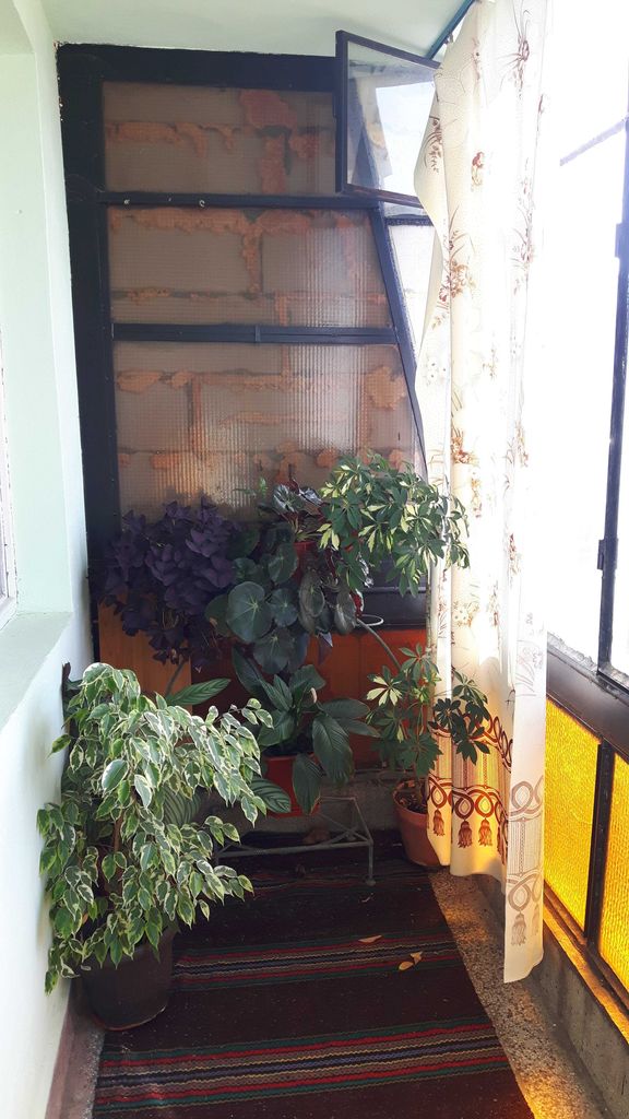 Дава се под наем Двустаен апартамент в Враца, Център - 68 кв.м за 280.5 € - Снимка #1