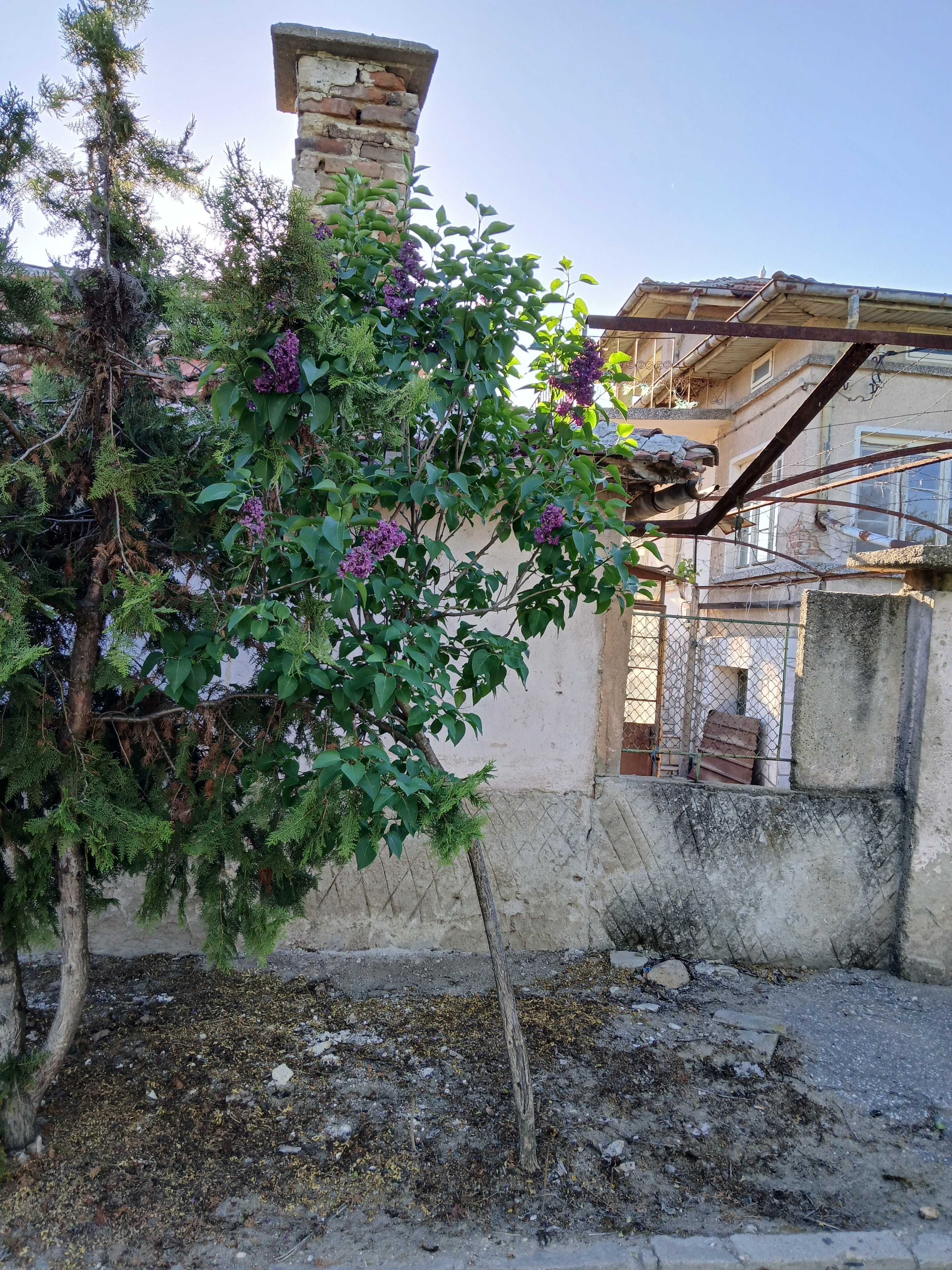 Къща с двор в с. Ляхово