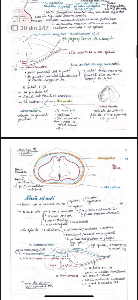 Material pdf admitere medicina- corint