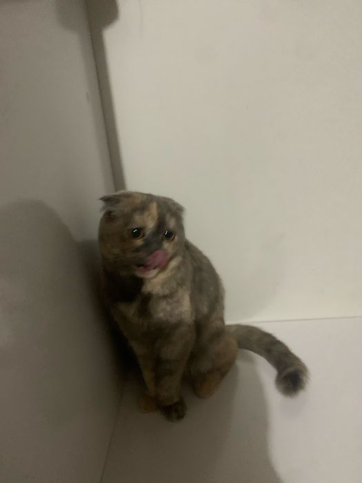 Мкшукча сотилади