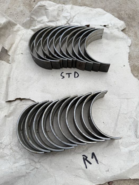 Vand cuzineti noi pentru Aro