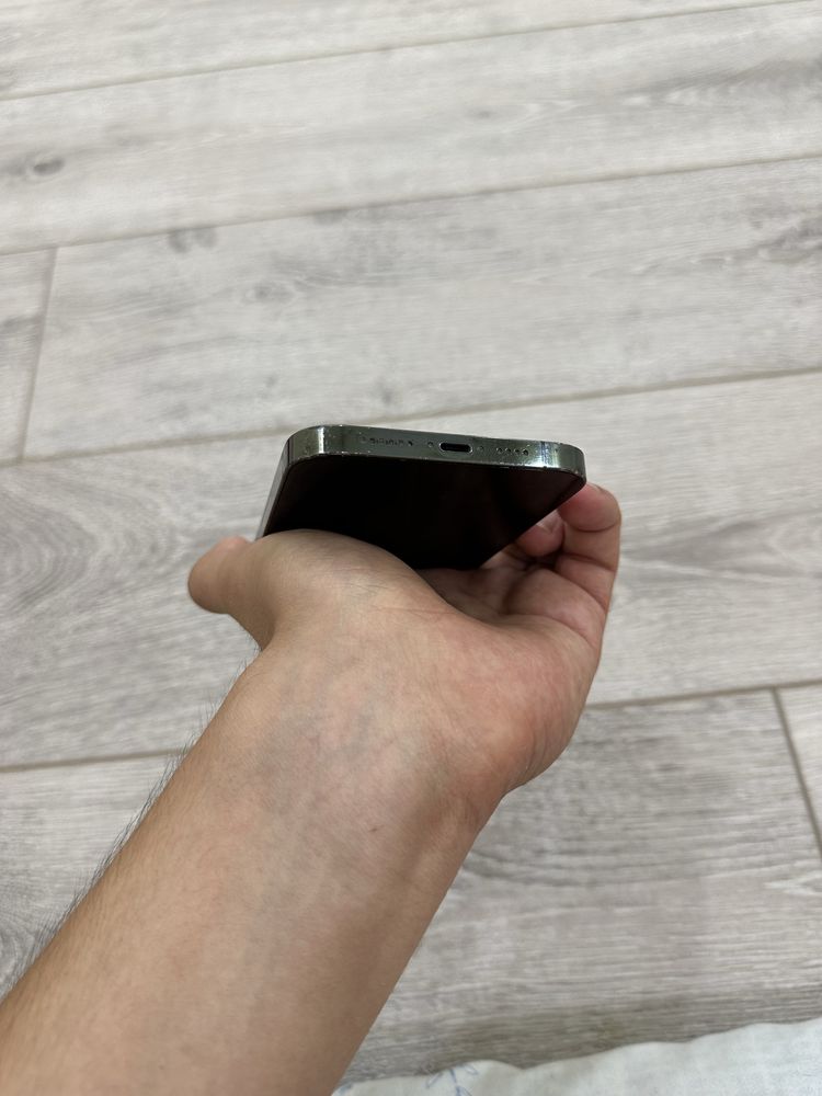 iPhone 13 Pro Max Ideal