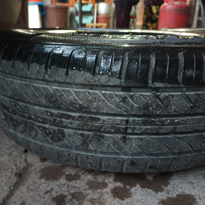 R14 zavod diska + GREENLANDER balon