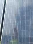 Vind panouri 230w