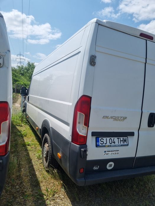 Fiat Ducato maxi frigorifice