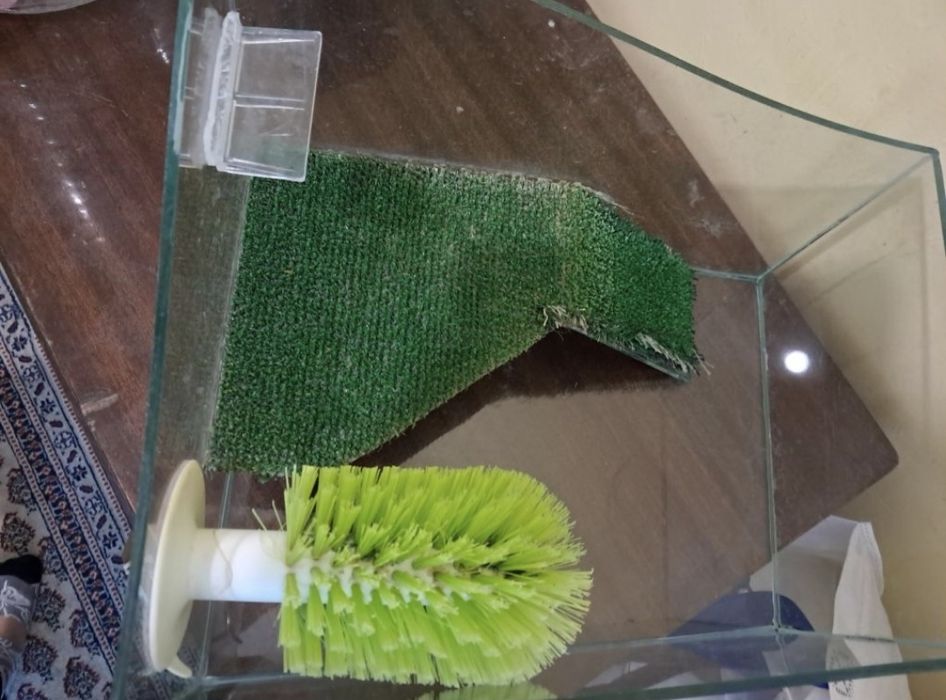 Аквариум за костенурка