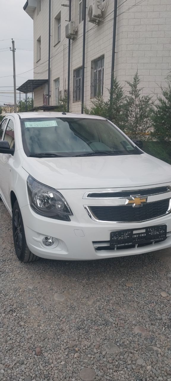 Cobalt Midnayt oq 2025 yil 26 may masli