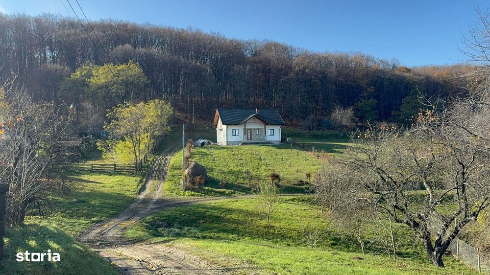 Vanzare  1400mp teren imprejmuit 2 loturi pt casa Adancata - sub padur