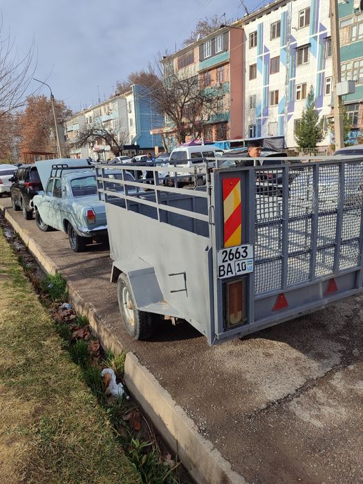 Bolga prisepi bn sotiladi qibrayda