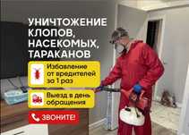Дезинфекция от клопов, тараканов, мух и комаров | Гарантия до 3 лет
