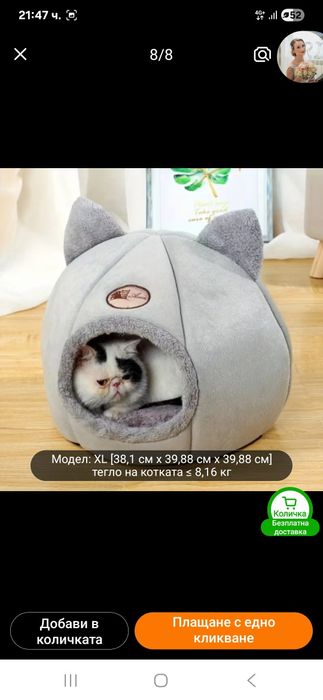 Ново котешко легло.