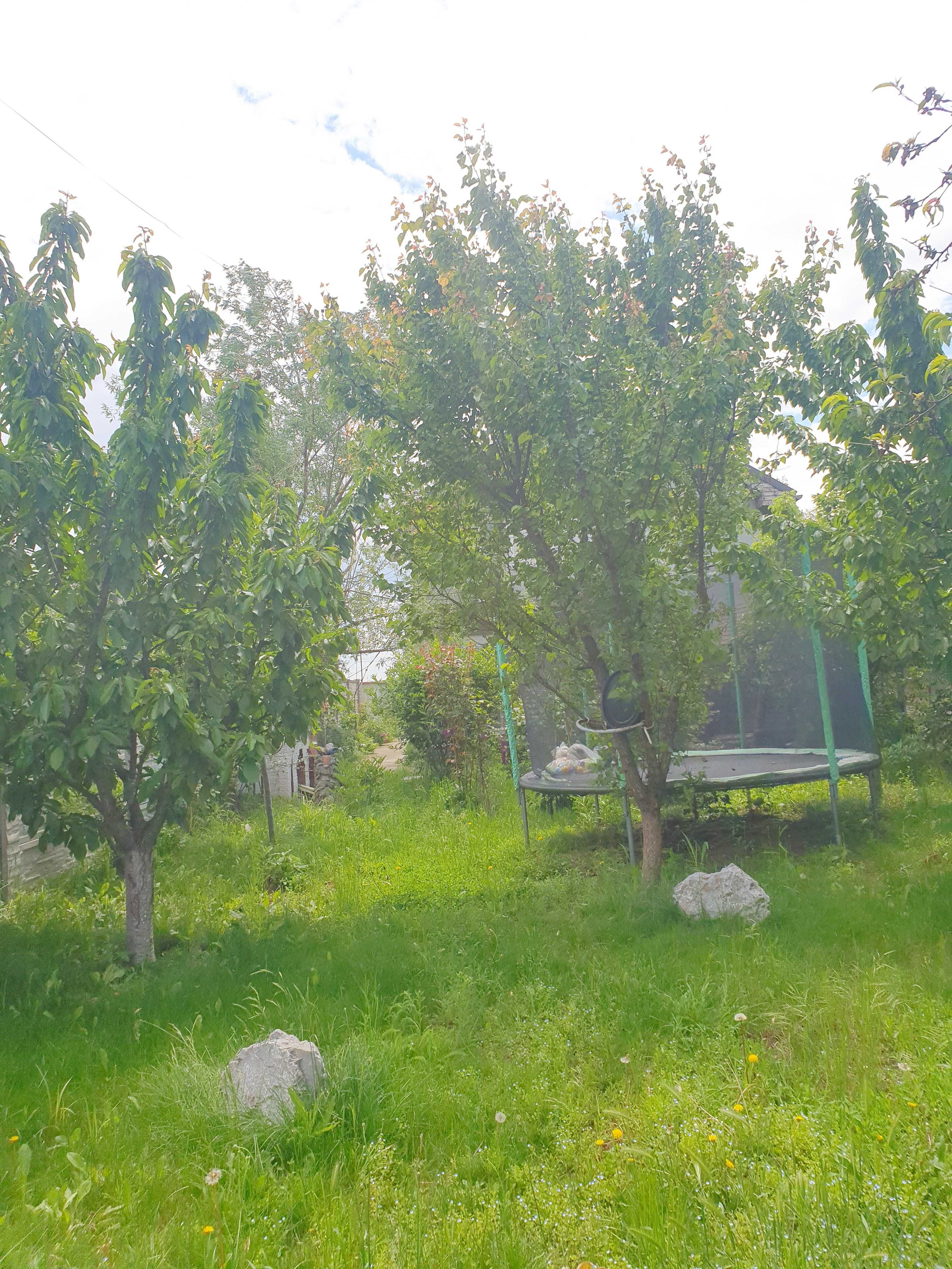 Casă P+M, Albești Simnic
