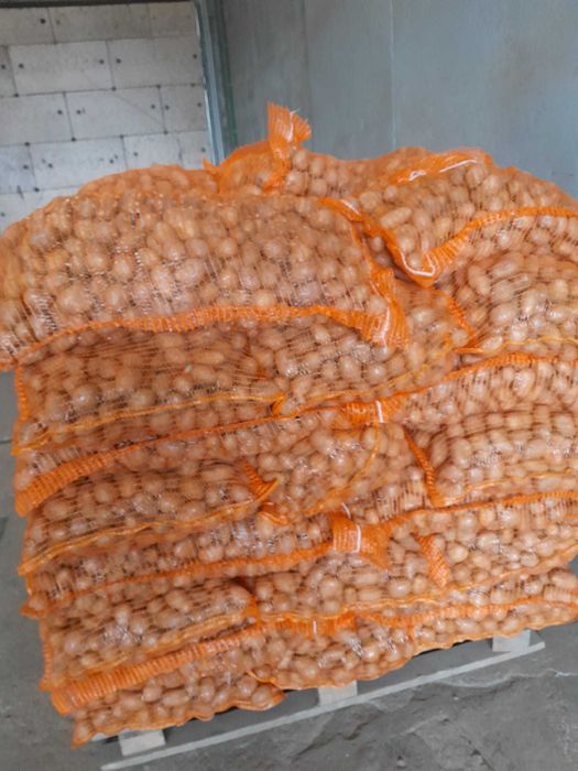 Vand cartofi  pentru animale