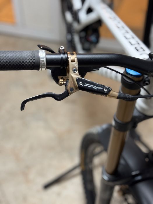 Frâne Trp dhr evo gold