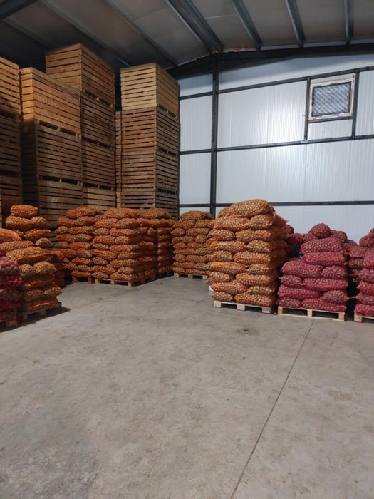 Vand cartofi de samanta