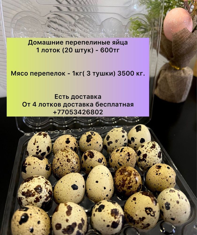 Продам перепелинные яйца