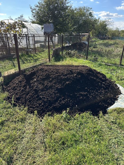 Mranita balegar putred ingrasamant