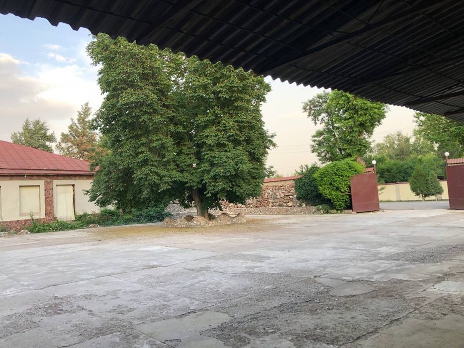 Продажа земли (под любой бизнес или жилой дом)