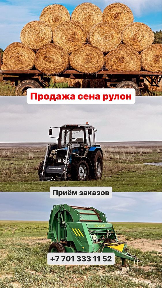 Продажа сен