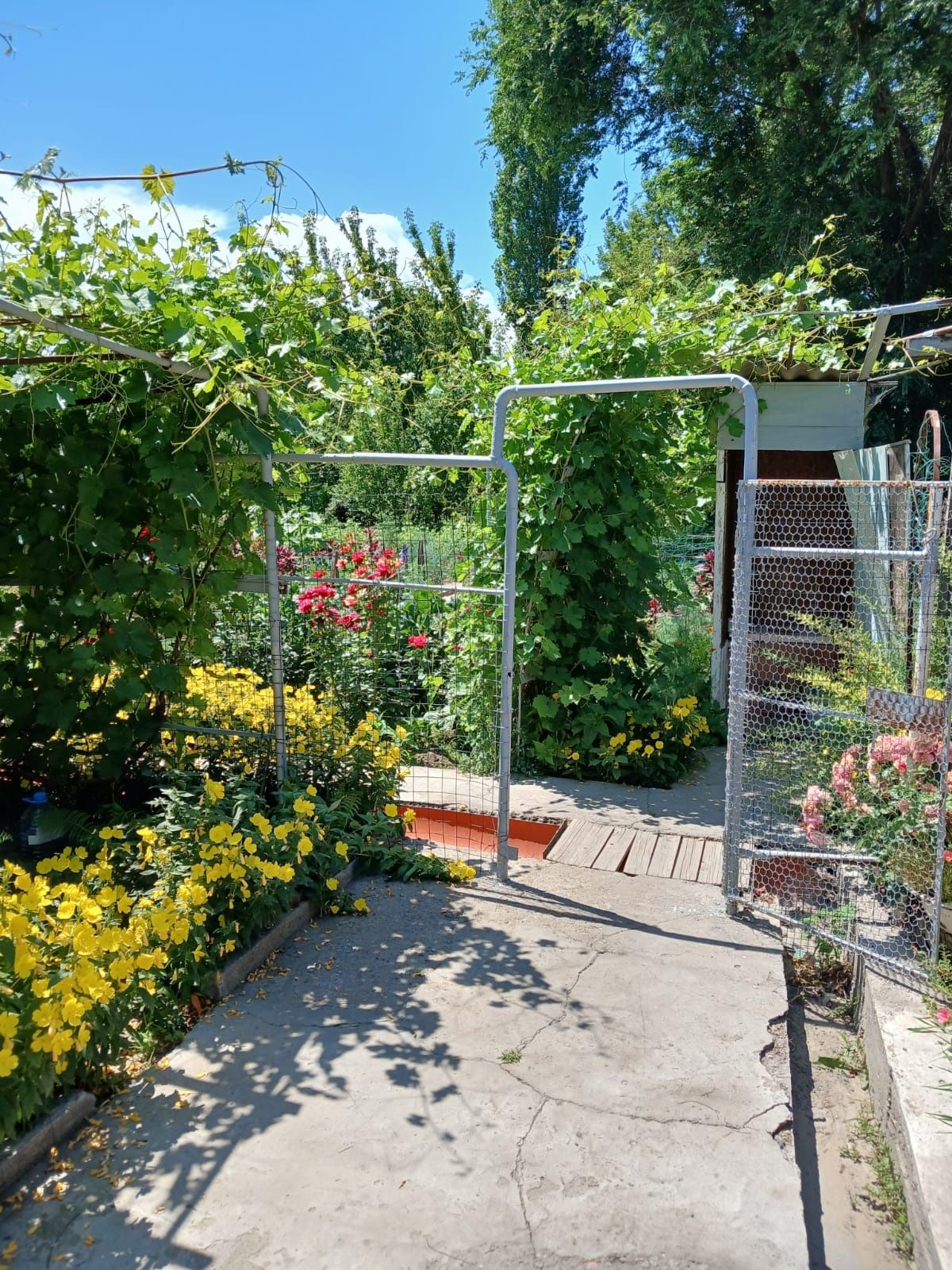Продам дом со всеми удобствами