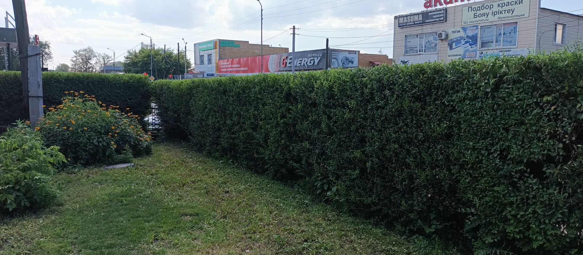 Удаление,покос сорняков бензотриммером,стрижка кустарников,деревьев,