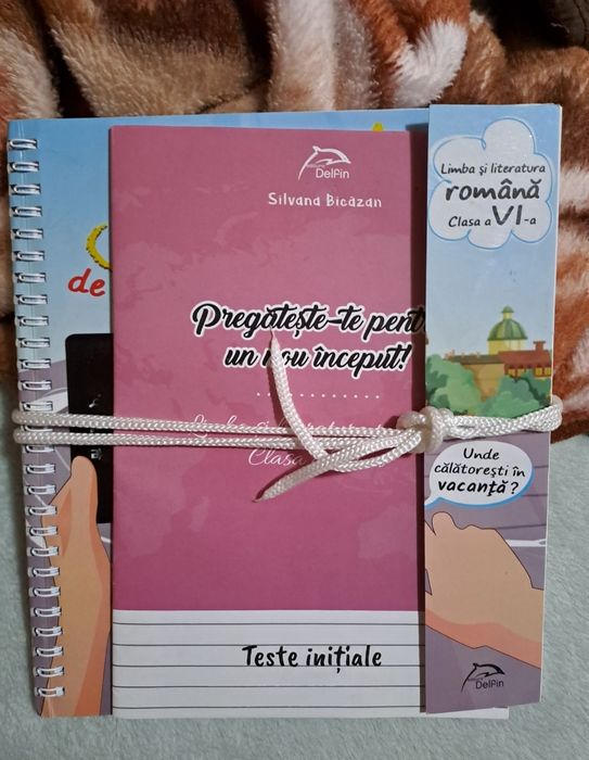 Carte . Jurnal de vacanță