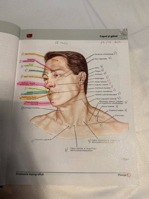Vând Atlas de Anatomie a Omului