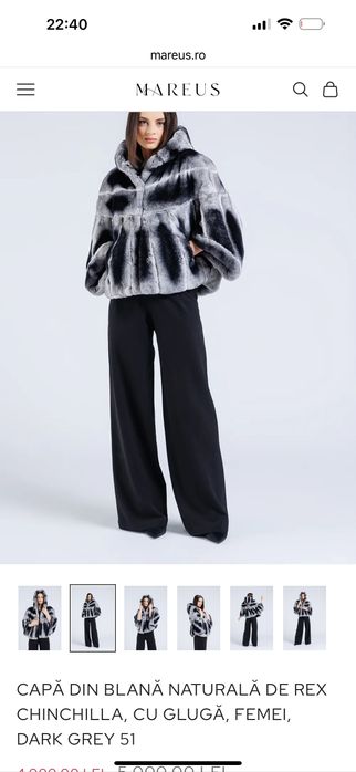 Blana chinchila rex noua