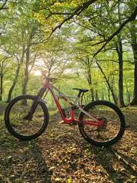 Specialized enduro pro custom 2017