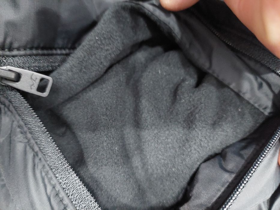 Vesta barbati  Hollister M, L