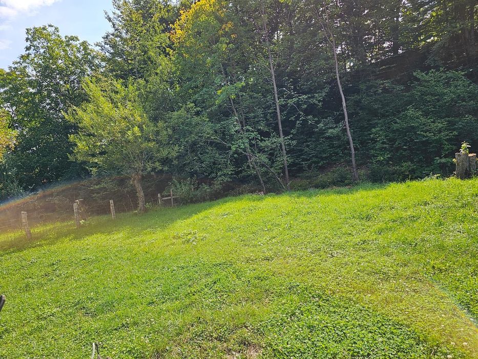 Teren intravilan de vanzare Bran