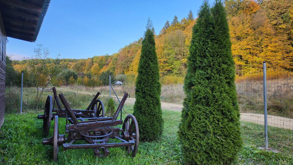 Complex turistic lângă Brașov / case de vacanță