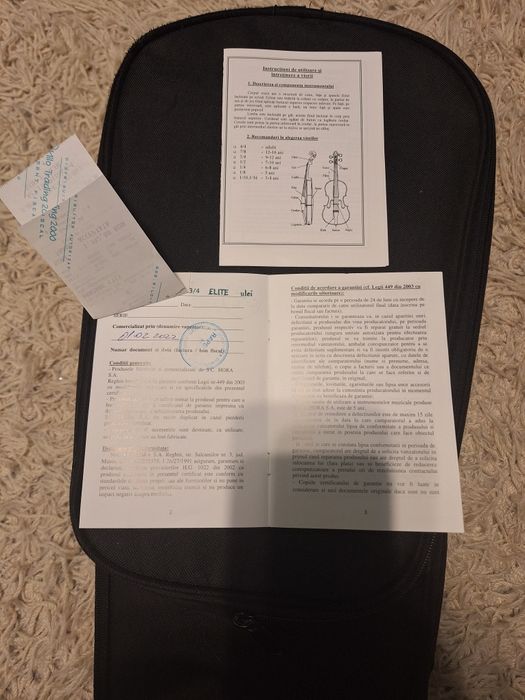 Vioara 3/4 Elite (Avansat) ulei Hora Reghin an 2022