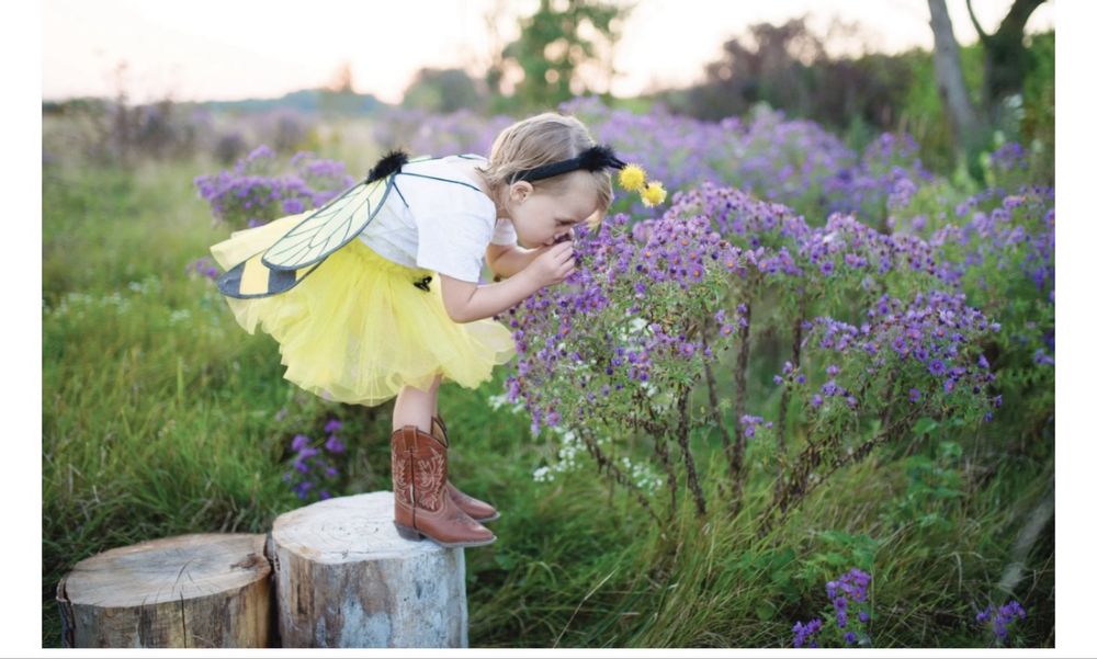 Карнавелен костюм пчеличка-4-6г.