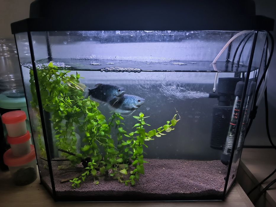 Аквариум продам.