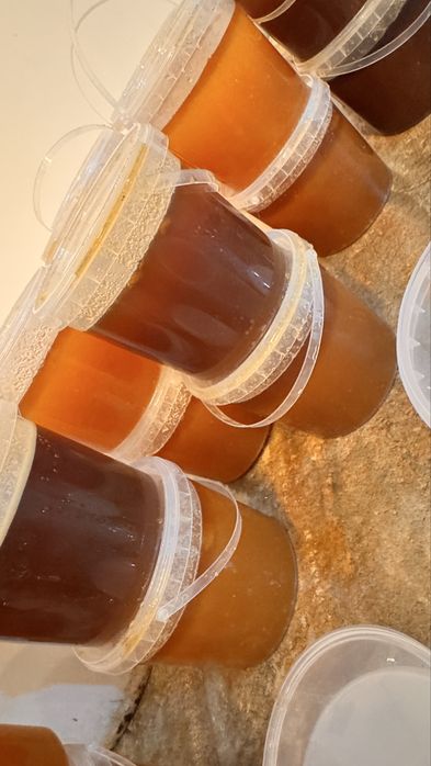 Мед горчичный , цветочный