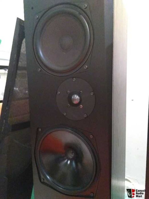 Boxe Audiophile Dali 4B