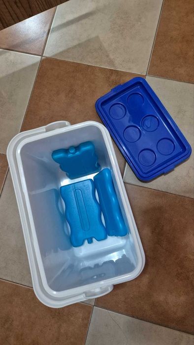 Хладилна чанта с 3 бр. охладители