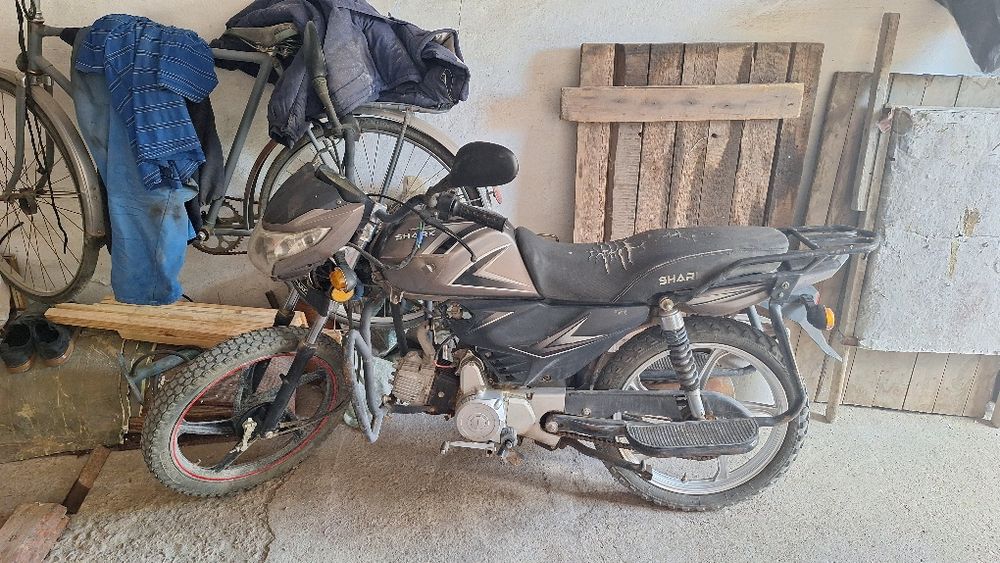 Альфа шарк 110cc [торг]