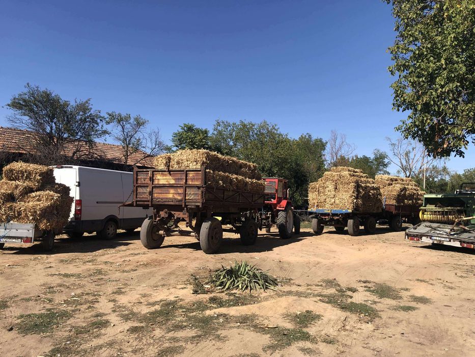 Vand baloti coceni/paie