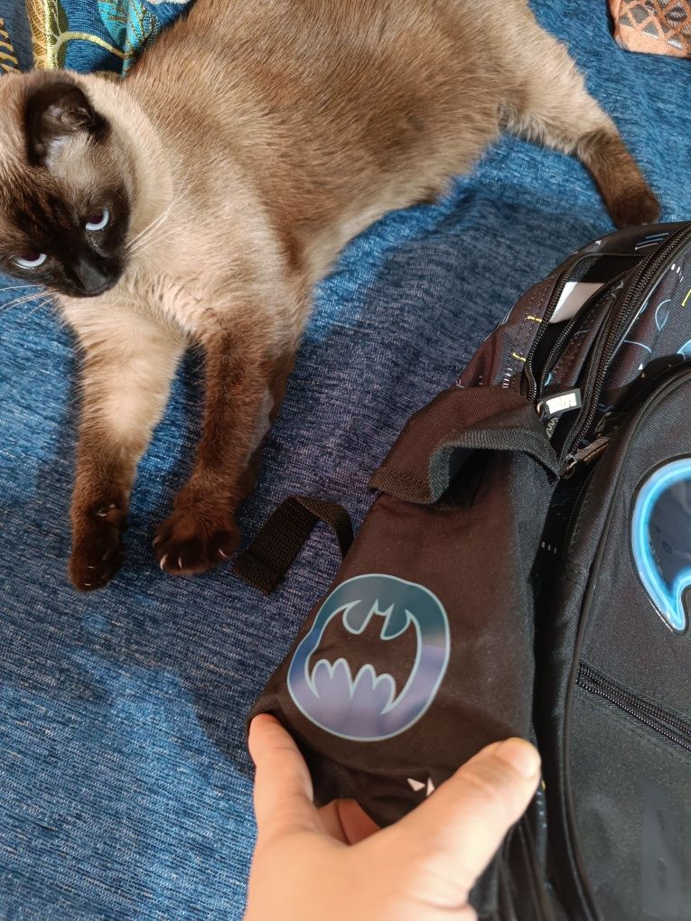 Ghiozdan nou batman