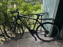 Bicicleta Focus 29’