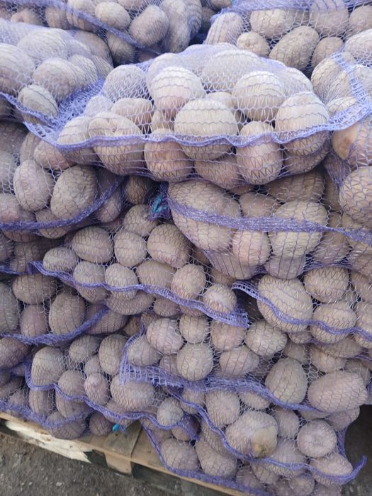 Cartofi rosu și alb