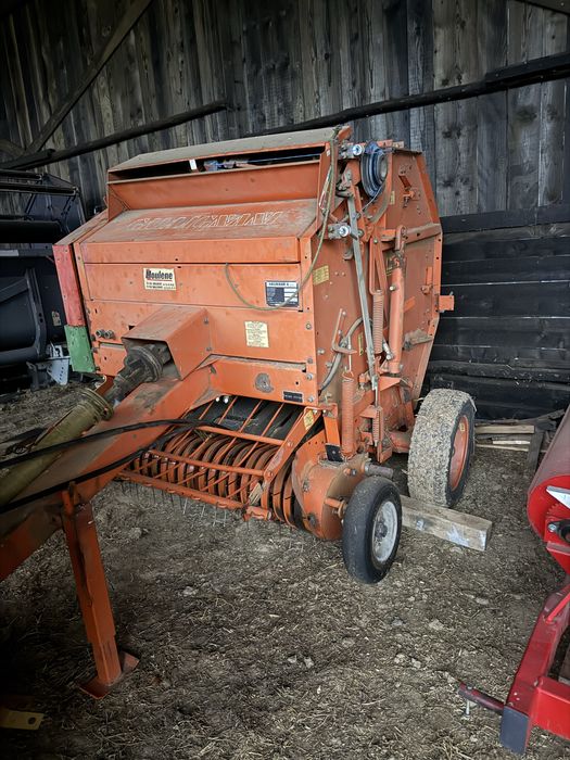 Balotiera galligani rb/22