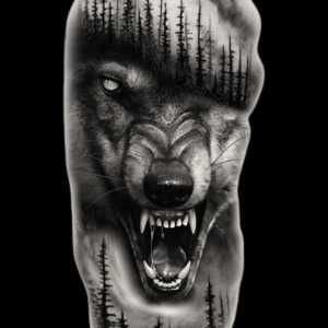 Tatuaje Temporare 30 lei buc