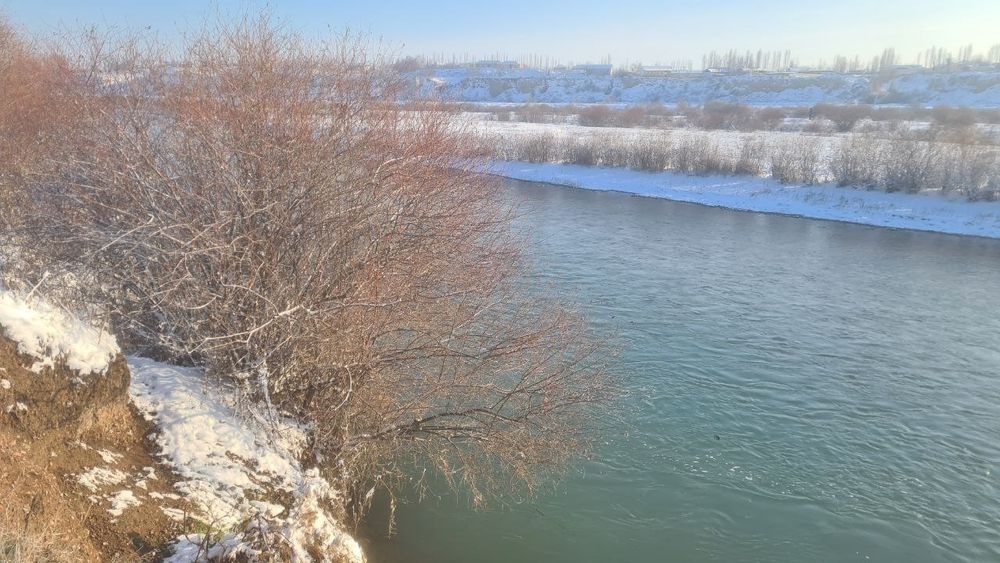 Продам 4гектара на Ташморе вдоль реки