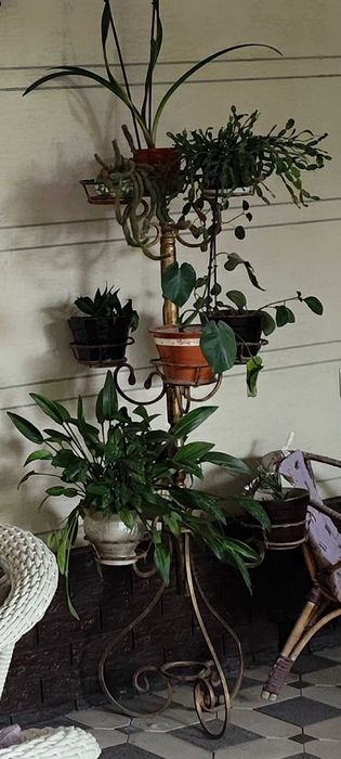 Подставка для растений