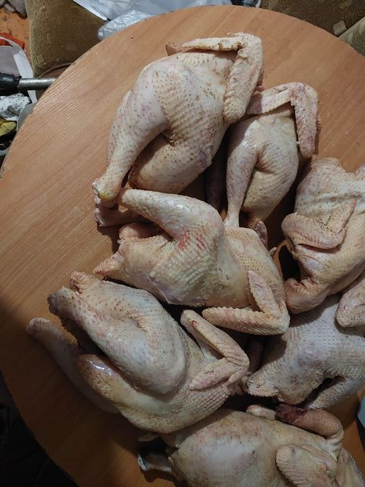 Продам мясо домашних петушков